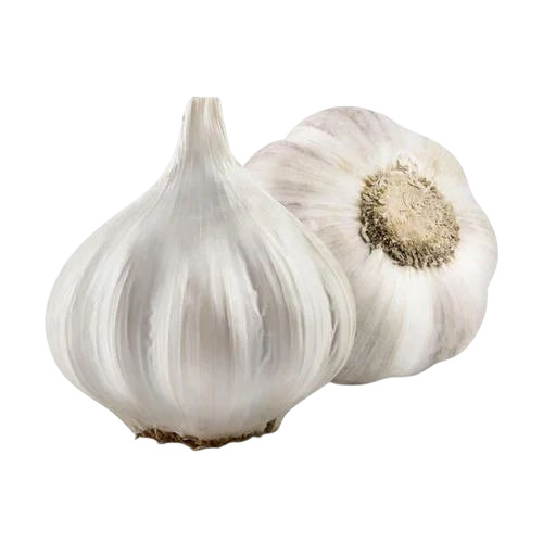 Silver Skin Garlic