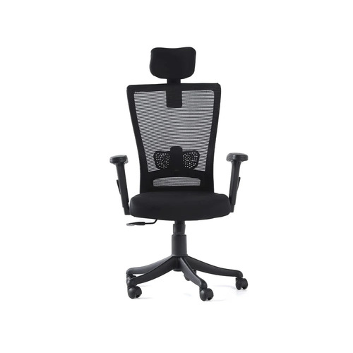 US-2007 Mesh Ergonomic Office Chair