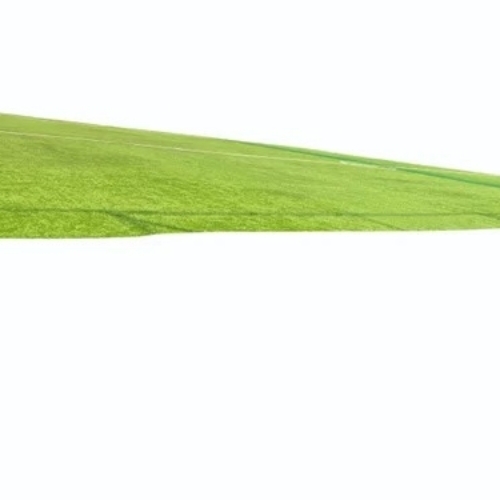 Artificial Cricket Pitch