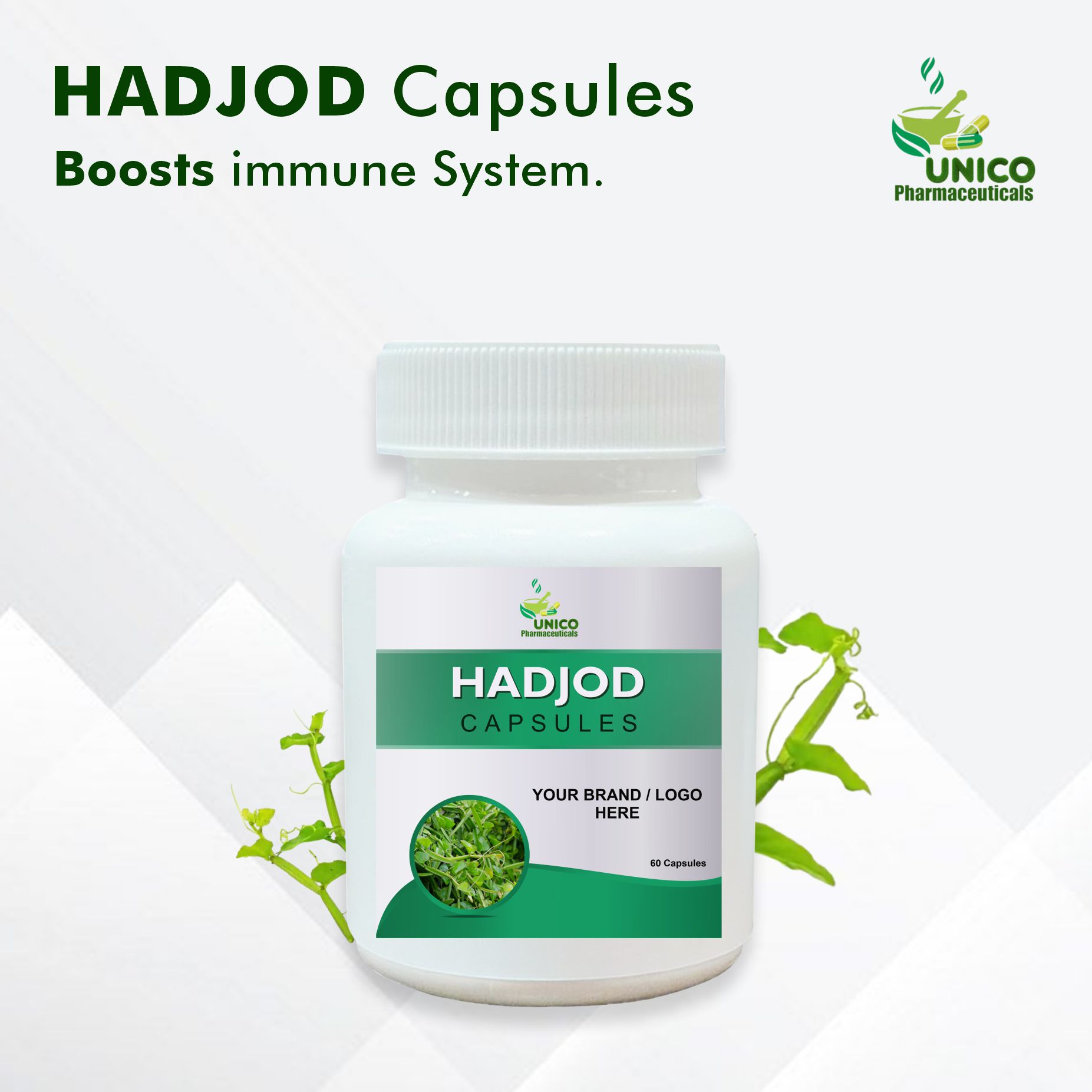 Herbal Hadjod Capsules