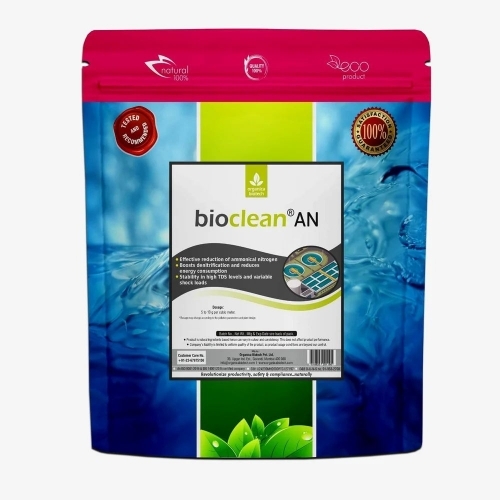 Biological Wastewater Treatment