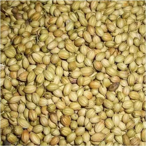 Dried Coriander