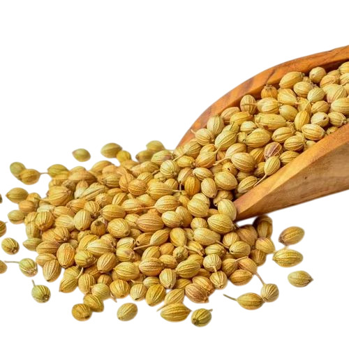 Dried Coriander