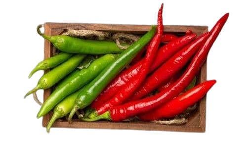 Fresh Chilli