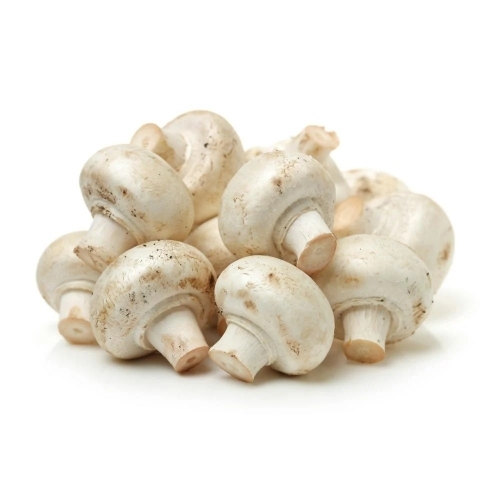 Fresh White Oyster Mushroom
