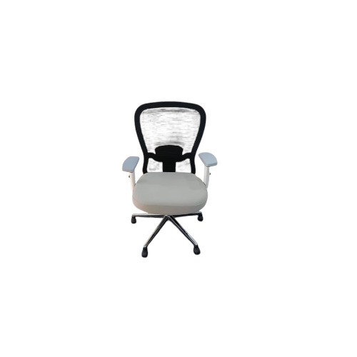 Mesh Executive Office Chair