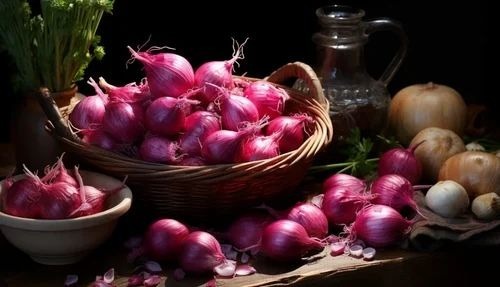 Shallots Onion