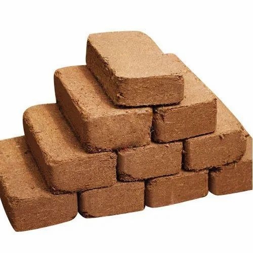 Rectangle Cocopeat Brick