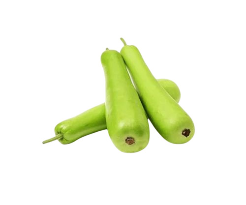 Bottle Gourd