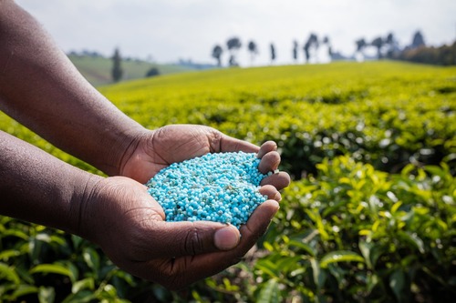 Chemical Fertilizer - Application: Agriculture