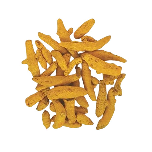 Dried Turmeric Finger 