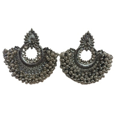 Fancy Earrings 