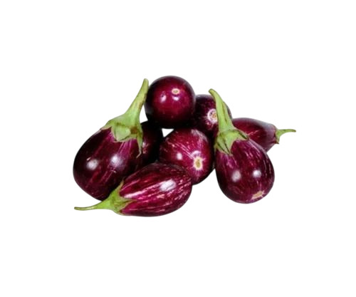 Fresh Brinjal