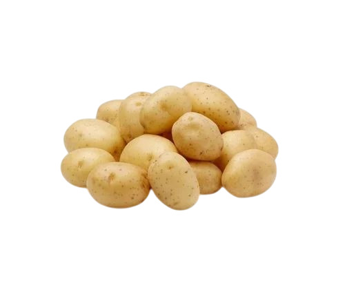 Fresh Potato