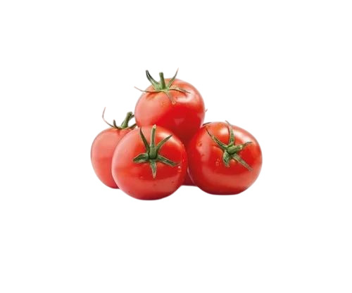 Fresh Tomatoes