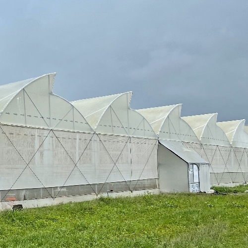 Farming Tent