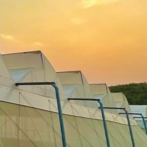 Green House Farming 