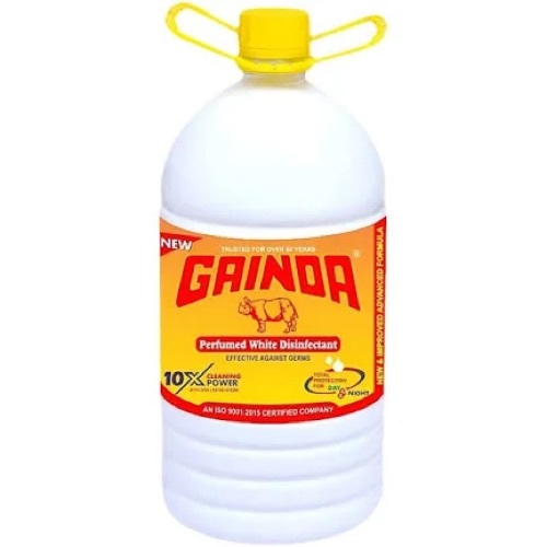 Gainda Phenyl (White) - 5 Itr