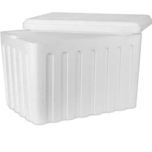 Thermocol Pharma Box By Shri Ram Thermopack Llp