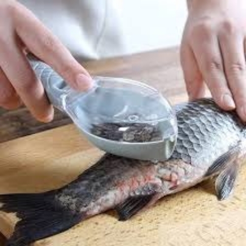 Fish Scale