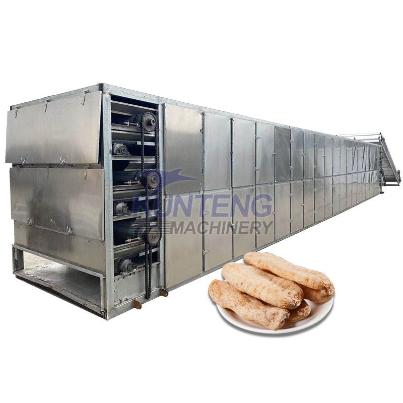 Continuous Mesh Vegetables And Fruits Peanuts Drying Equipment Ginger Drying Production Line - Feature: High Efficiency