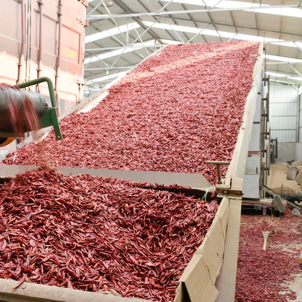 Industrial Chili Mesh Belt Dryer Dried Chili Production Line - Dimension (l*w*h): 5.8*2.5*2.2  Meter (m)