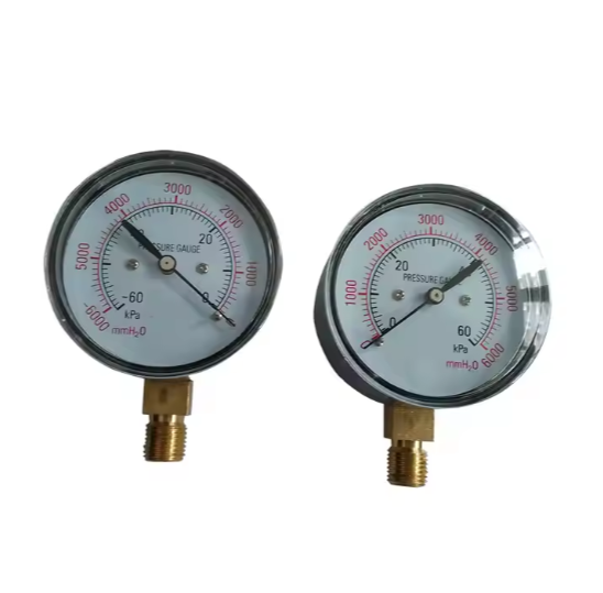 Pressure Vacuum Gauge