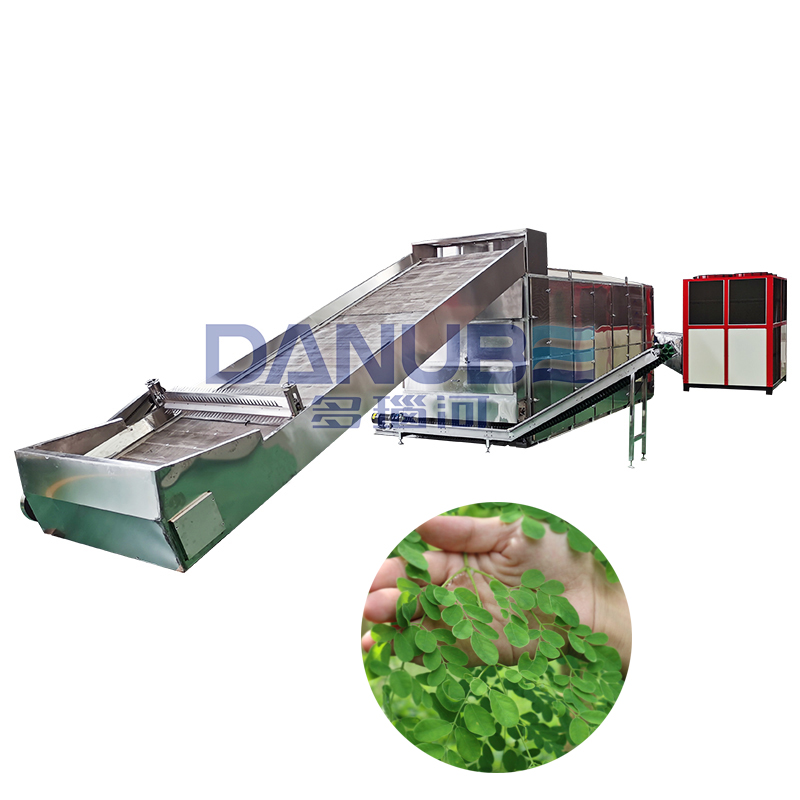 Professional Moringa Leaves Drying Machine Mesh Belt Dryer Moringa Leaves Cleaning And Drying Line - Advantage: High Working Effiency