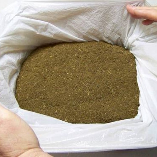 Cow Dung Powder