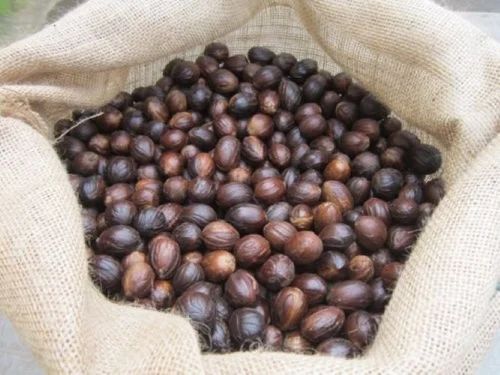 Nutmeg With Shell