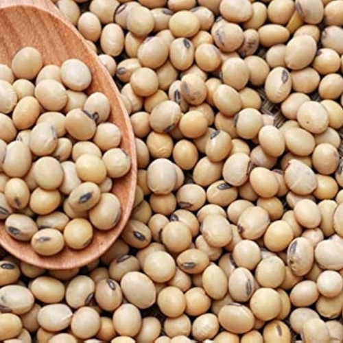 Soya Bean