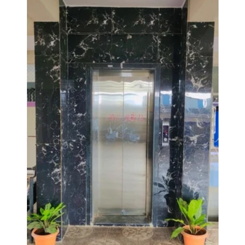 Stainless Steel Passenger Elevator
