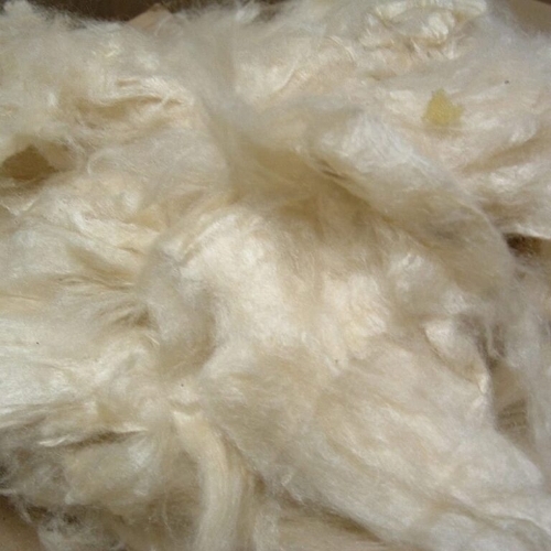 kapok cotton
