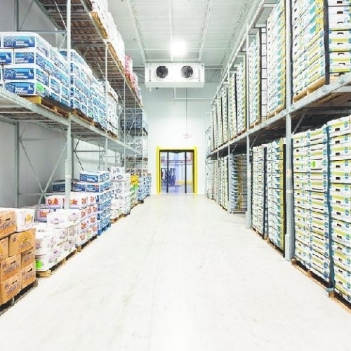 Cold Storage Rental Service