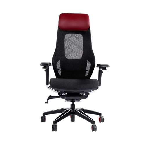 Executive Ergonomic Office Chair
