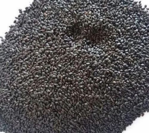 Tulsi Seeds