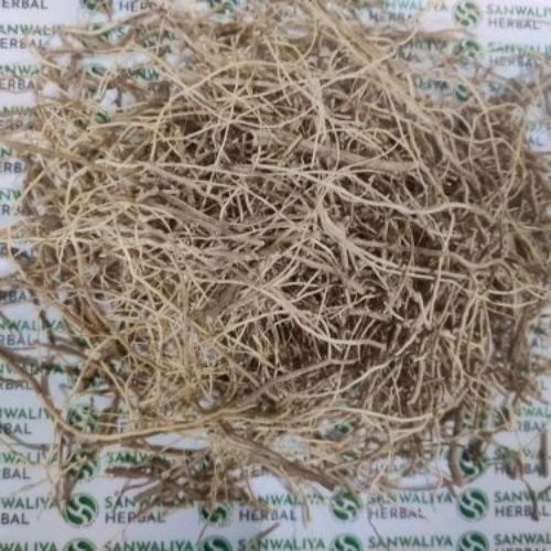 Withania Somifera