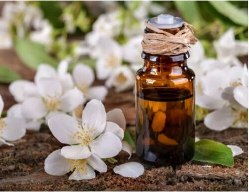 Jasmin Absolute Oil