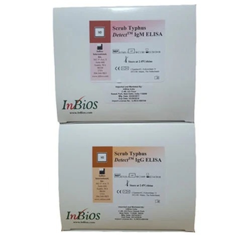 Scrub Typhus Detect Rapid Test By Inbios India