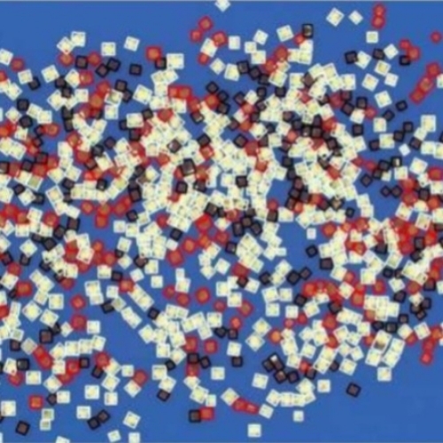 Vibe Bajra Seeds Analyser