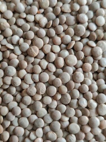 Organic Masoor Dal - Admixture (%): Yes