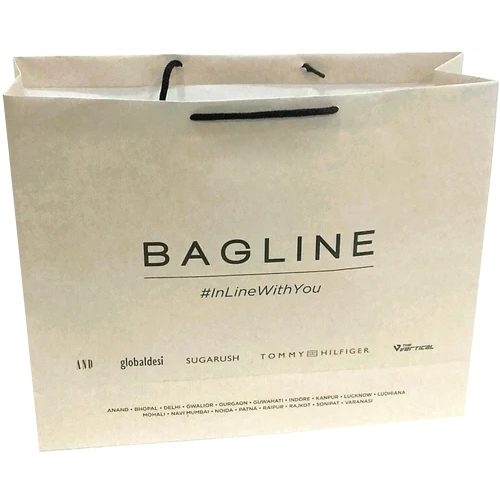 Paper Hand Bag