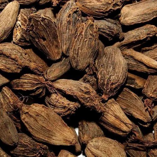 Big Cardamom - Color: Brown