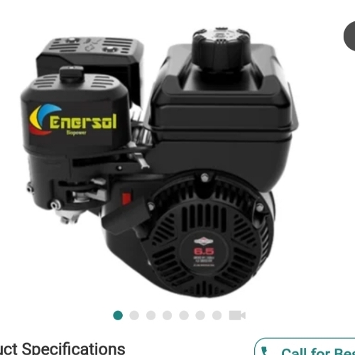 Biogas Generator
