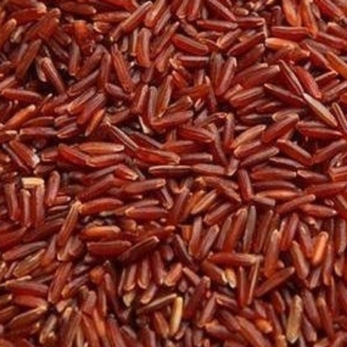 Brown Rice - Cultivation Type: Organic