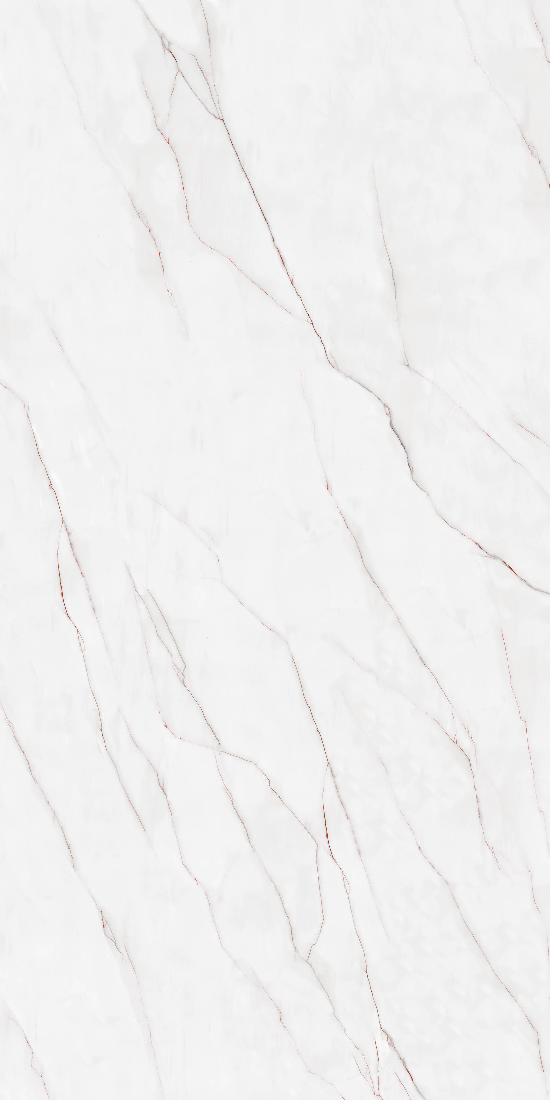Designer Porcelain Tiles - Size: 600X1200 Mm