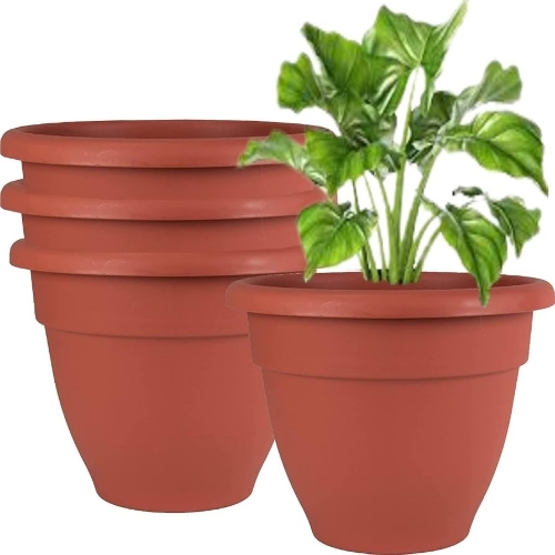 Flower Pot