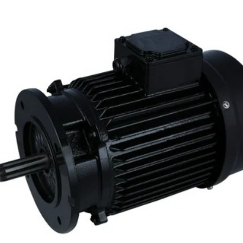 Paddle Wheel Aerator Motor
