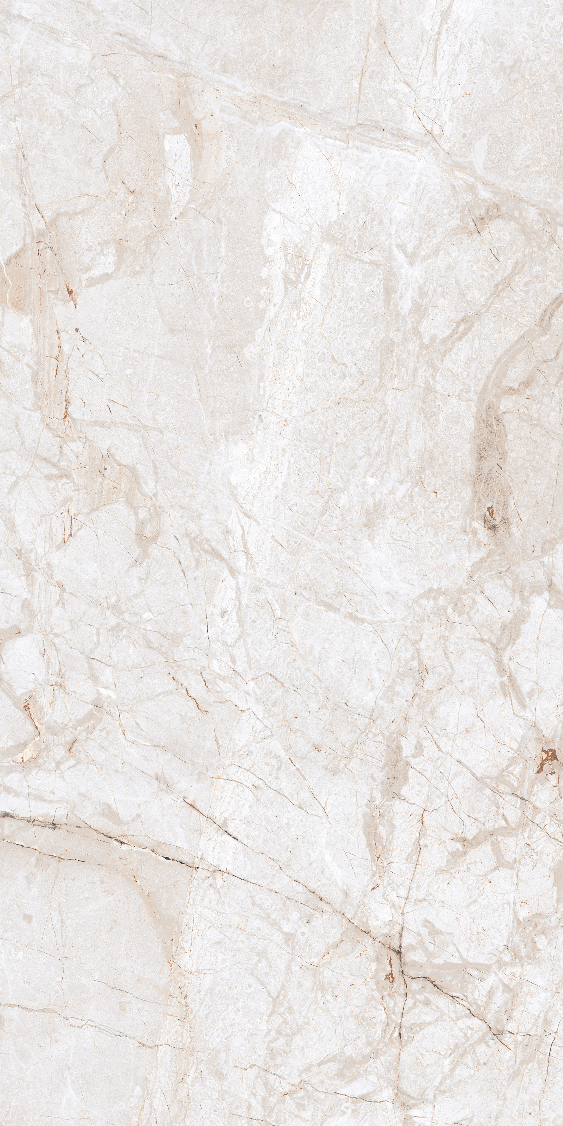 Premium Glazed Porcelain Tiles - Size: 600X1200 Mm