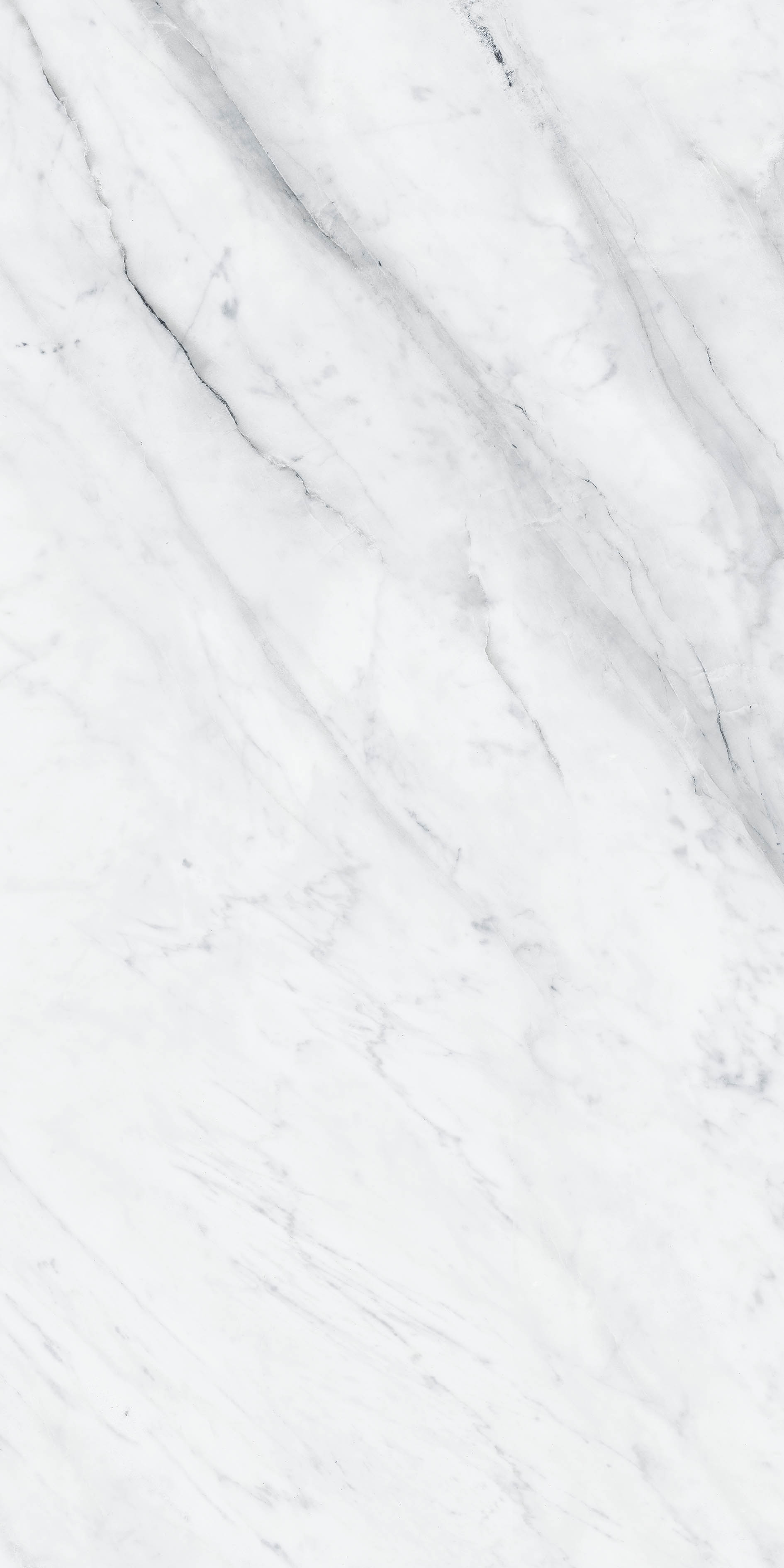 Smooth Porcelain Tiles - Size: 600X1200 Mm